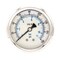 Pic Gauges 2 1/2 in Dial, 1/4 in NPT Male Center Back Location, Stainless Steel Case Material PRO-302L-254F-01 - alternate 1